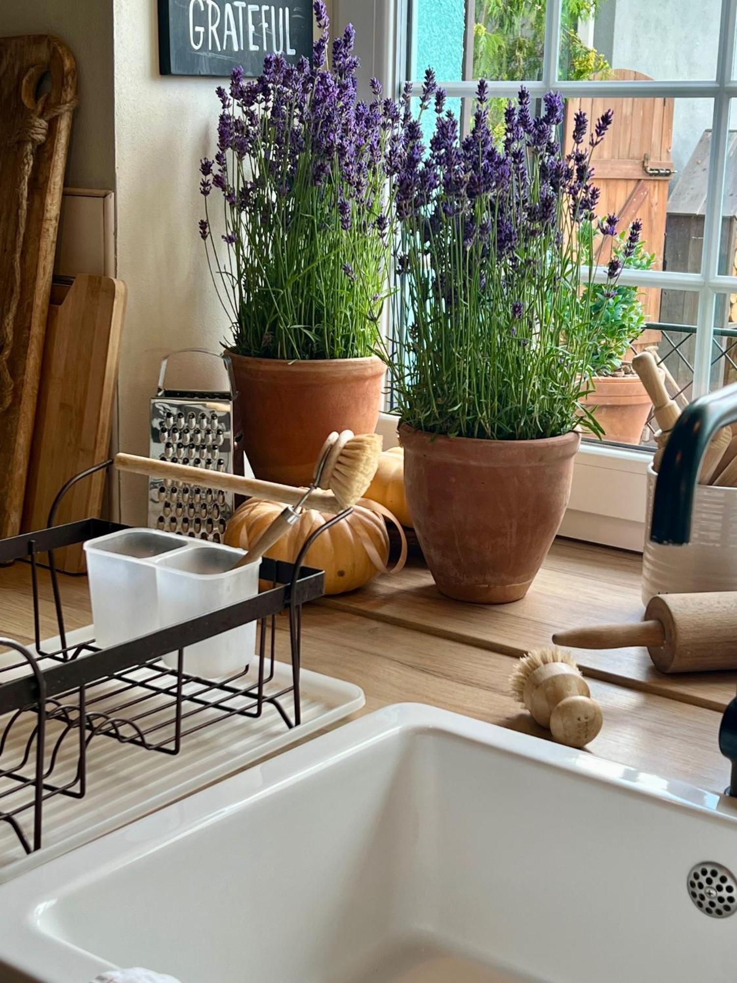 Orchardhouse Farmhouse, Wellness Chrast  Esterno foto