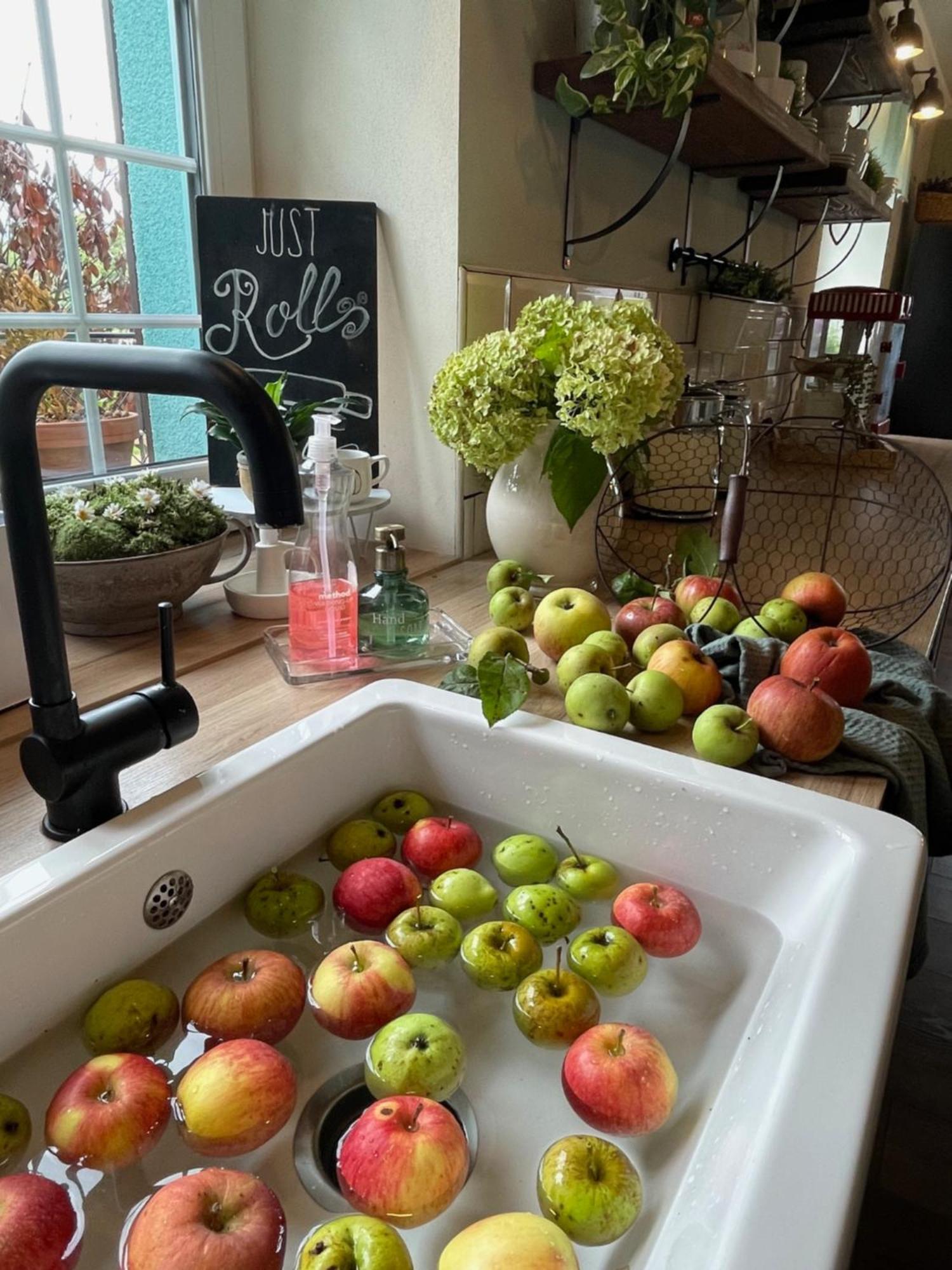 Orchardhouse Farmhouse, Wellness Chrast  Esterno foto