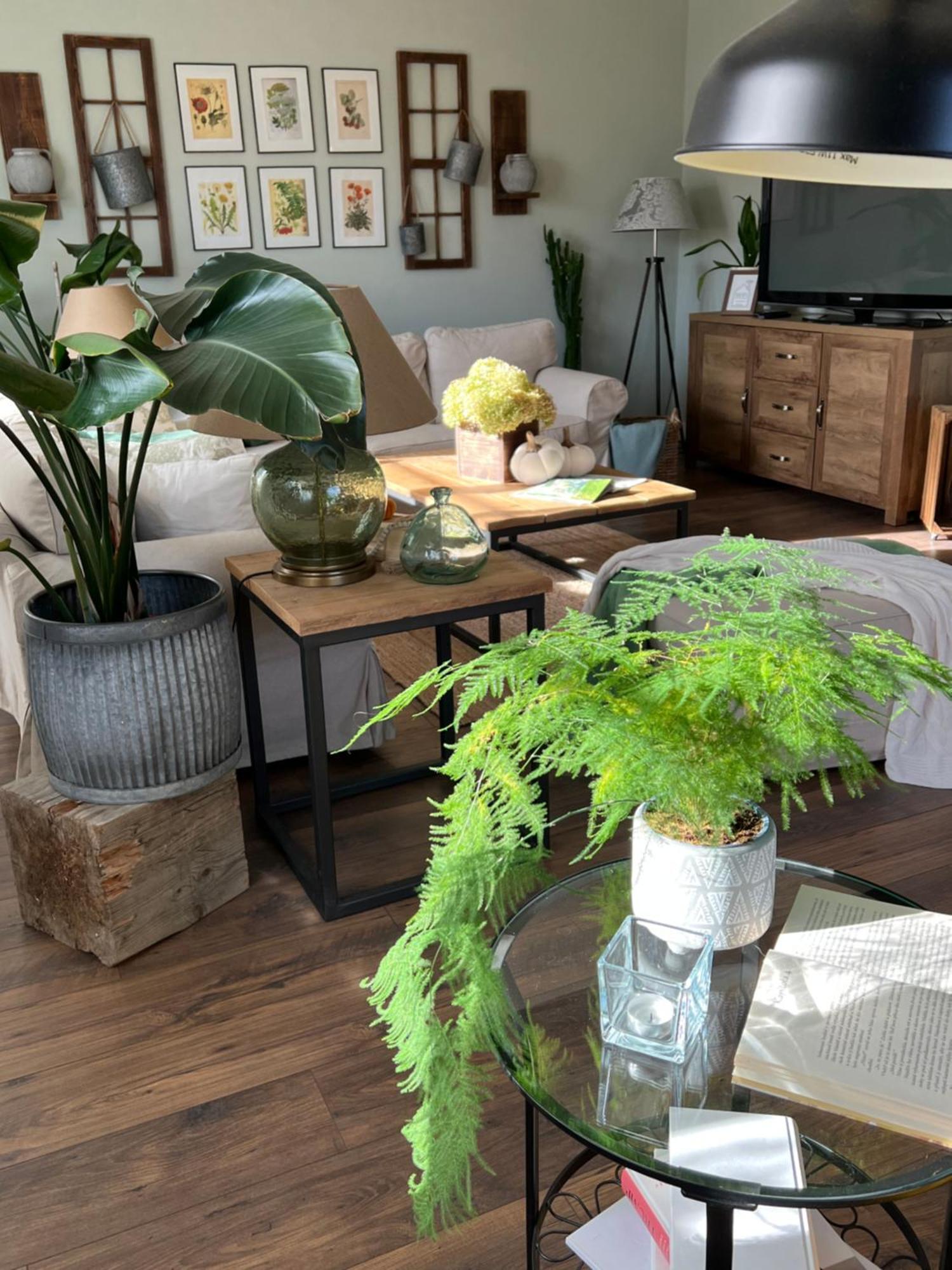 Orchardhouse Farmhouse, Wellness Chrast  Esterno foto
